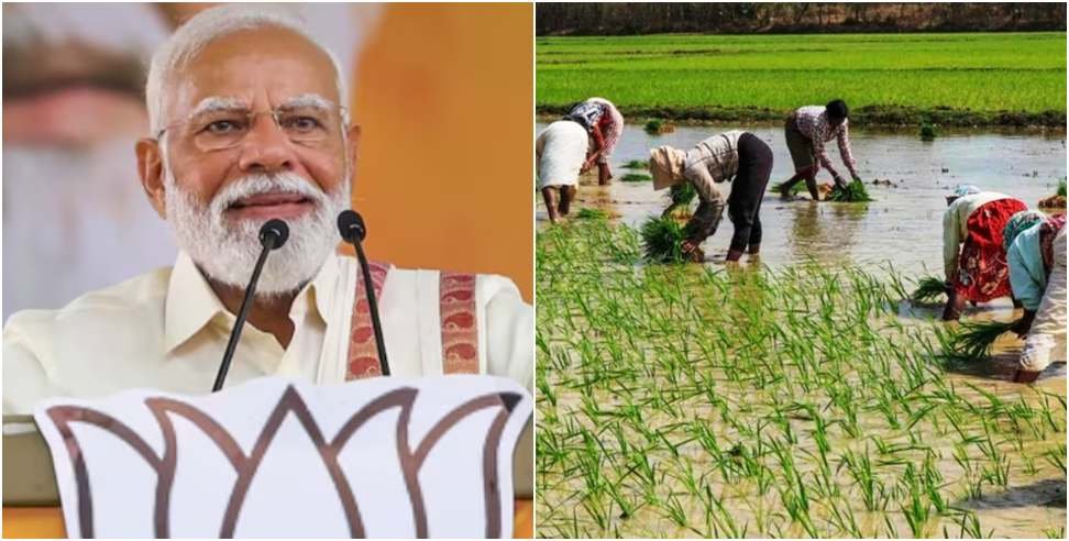 PM Kisan's 18th Installment Released for 7.98 Lakh Farmers in Uttarakhand