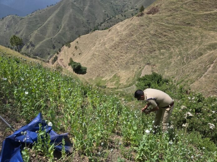 ड्रग्स फ्री देवभूमि” के सपने को साकार करती दून पुलिस