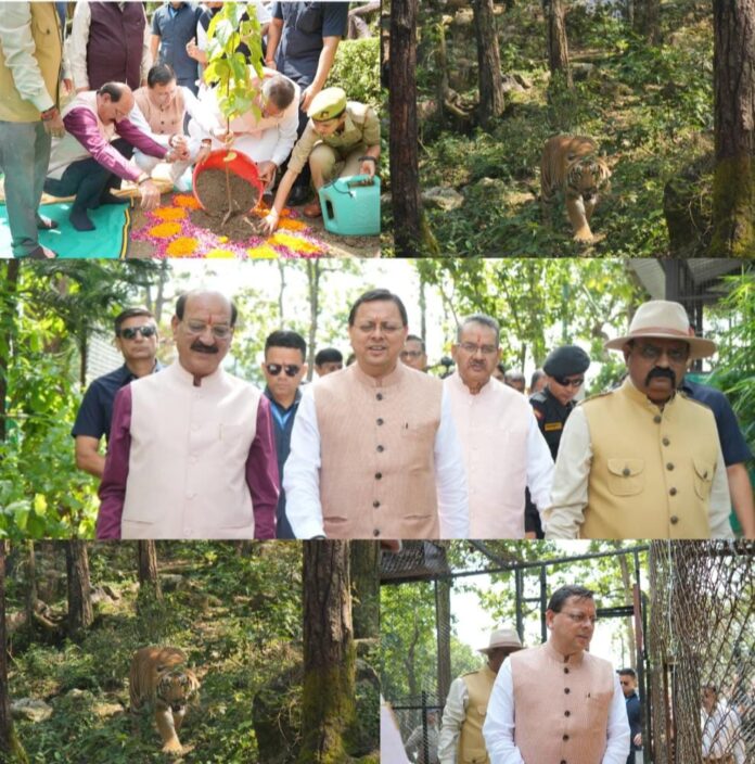 सीएम धामी ने किया वन्य जीव प्राणी सप्ताह का शुभारंभ वन्य जीव हमले में जनहानि पर सहायता राशि बढ़ाकर 10 लाख रुपए की जाएगी