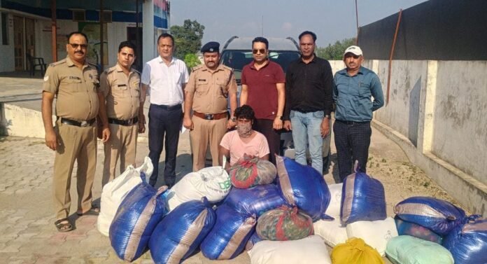 मिलावट पर जीरो टॉलरेंस”- मुख्यमंत्री पुष्कर सिंह धामी के निर्देशों पर प्रदेशभर में मिलावटी खाद्य पदार्थों के खिलाफ अभियान लगातार जारी