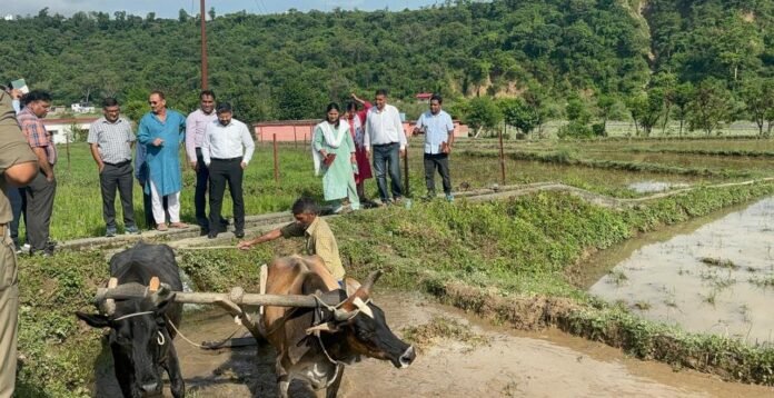 मुख्यमंत्री के निर्देशन पर जिला प्रशासन ने विलुप्त दून बासमती को दिलाई नई पहचान