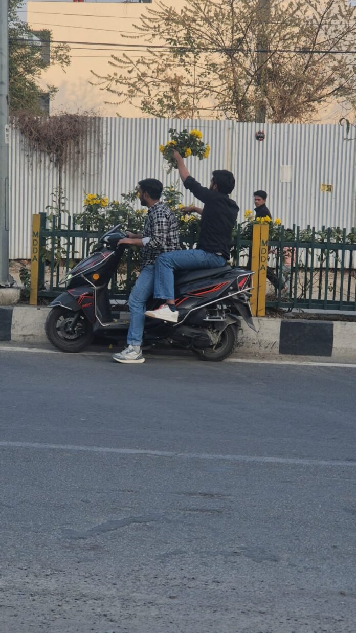 शहर की सुंदरता से खिलवाड़ बर्दाश्त नहीं, सार्वजनिक संपत्ति और सौन्दर्यीकरण कार्यों को नुकसान पहुंचाने वालों के खिलाफ होगी कड़ी कार्रवाई : बंशीधर तिवारी