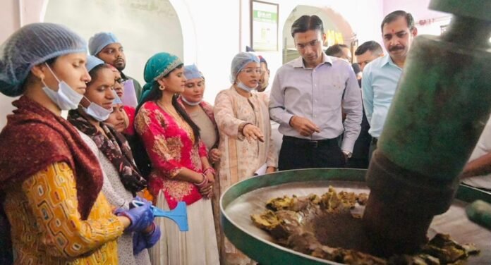 महिला स्वयं सहायता को समूहों को उपलब्ध कराया जाएगा आनलाईन बाजार; गूगल मैप्स पर पंजीकरण के डीएम ने दिए निर्देश