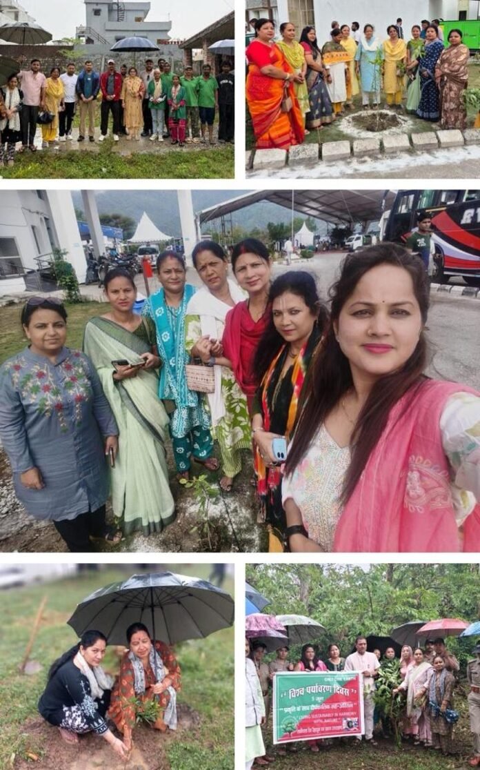 विश्व पर्यावरण दिवस के अवसर पर बीजेपी जिला ऋषिकेश महिला मोर्चा ने वृक्षारोपण किया साथ ही पर्यावरण संरक्षण का संदेश दिया