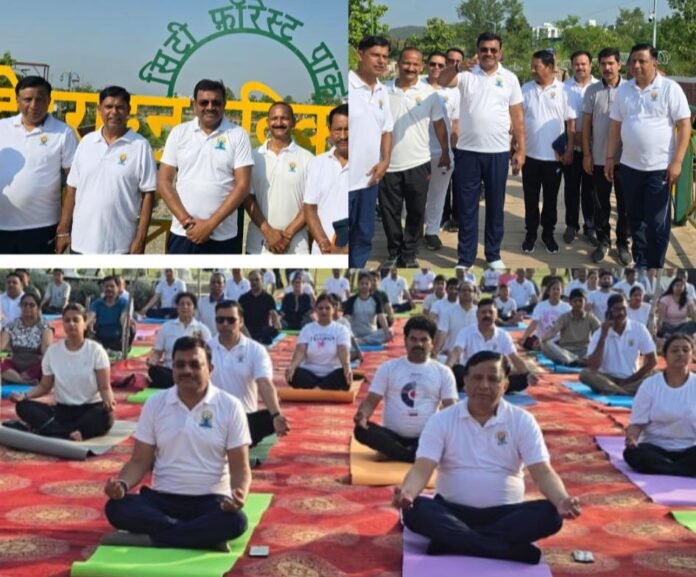 योग की छांव में विकास का संकल्प, एमडीडीए सिटी फॉरेस्ट पार्क बना स्वास्थ्य और प्रकृति का महाकुंभ
