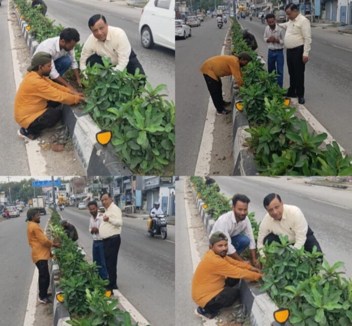 सीएम पुष्कर सिंह धामी के विजन को मिली रफ्तार, बंशीधर तिवारी के नेतृत्व में हरा-भरा हो रहा दून