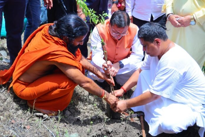 हरेला पर्व पर मालाग्राम पहुंचे मुख्यमंत्री, सघन पौधरोपण कर दिया हरित संरक्षण का संदेश