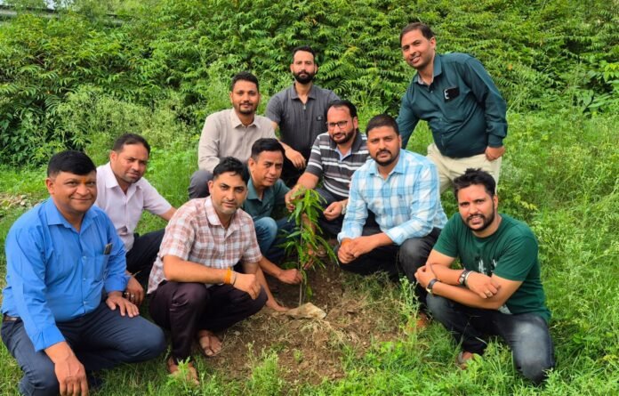 धरने के 59वें दिन हरेला पर्व पर बेरोजगार मेडिकल लैब तकनीशियनों ने किया वृक्षारोपण, पर्यावरण संरक्षण का लिया संकल्प