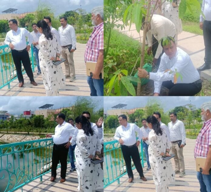 सीएम धामी के विजन को धरातल पर उतार रहा एमडीडीए, सिटी फॉरेस्ट के बाद मियांवाला में एक और पर्यावरणीय तोहफा