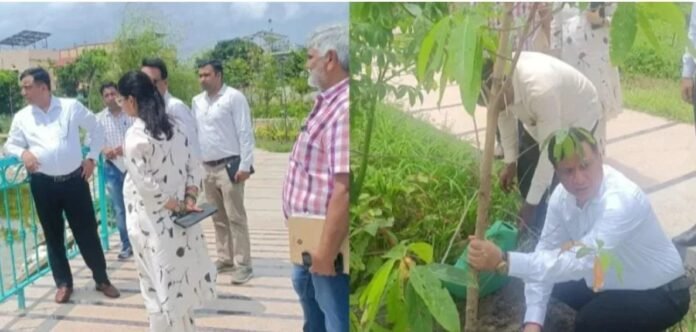 सीएम धामी के विजन को धरातल पर उतार रहा एमडीडीए, सिटी फॉरेस्ट के बाद मियांवाला में एक और पर्यावरणीय तोहफा